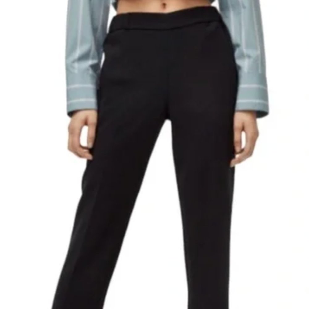 Aritzia (Wilfred) Crepe Darontal Pant